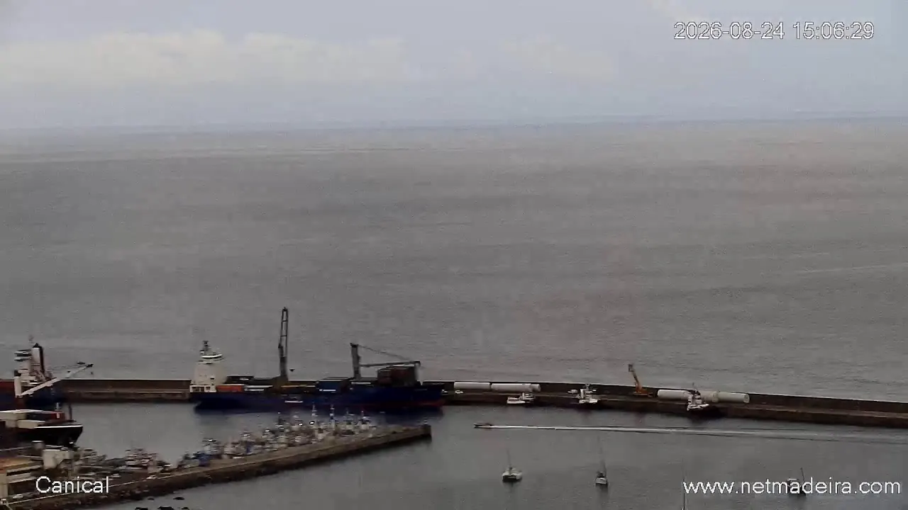 Still from the live camera at Caniçal, Madeira
