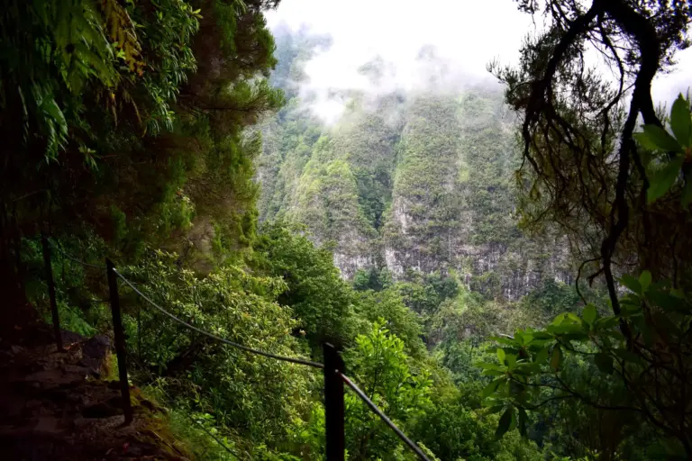 Pfad der Levada do Caldeirão Verde an der Felswand
