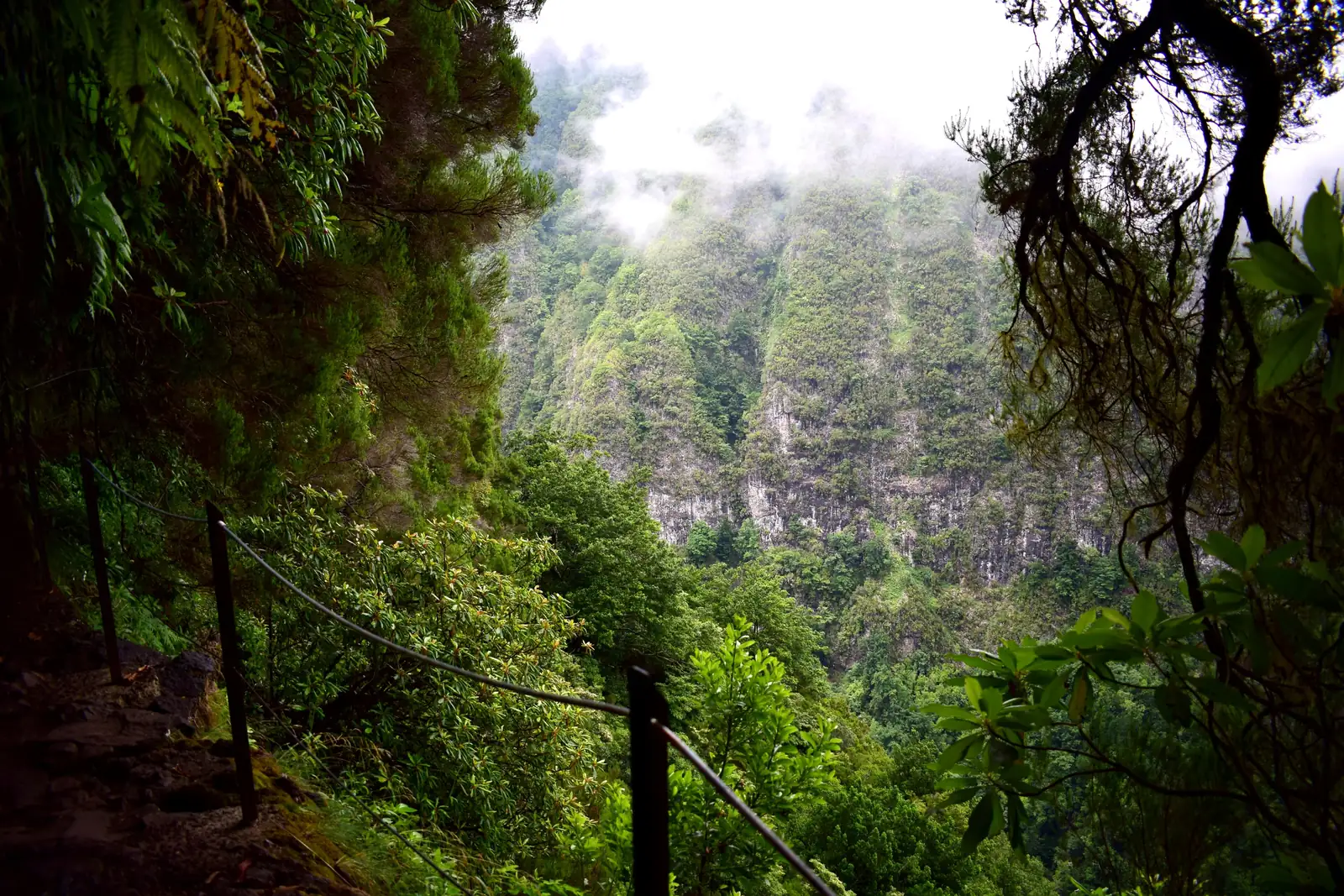 Pfad der Levada do Caldeirão Verde an der Felswand