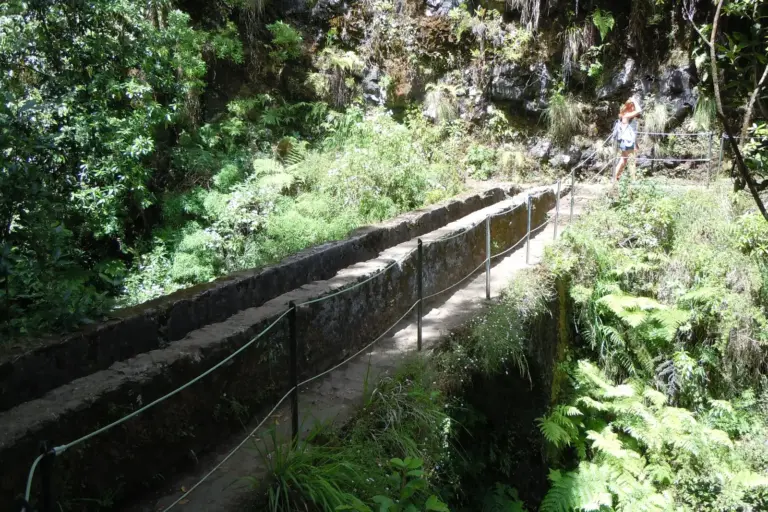 A levada channel and its footpath through laurel forest