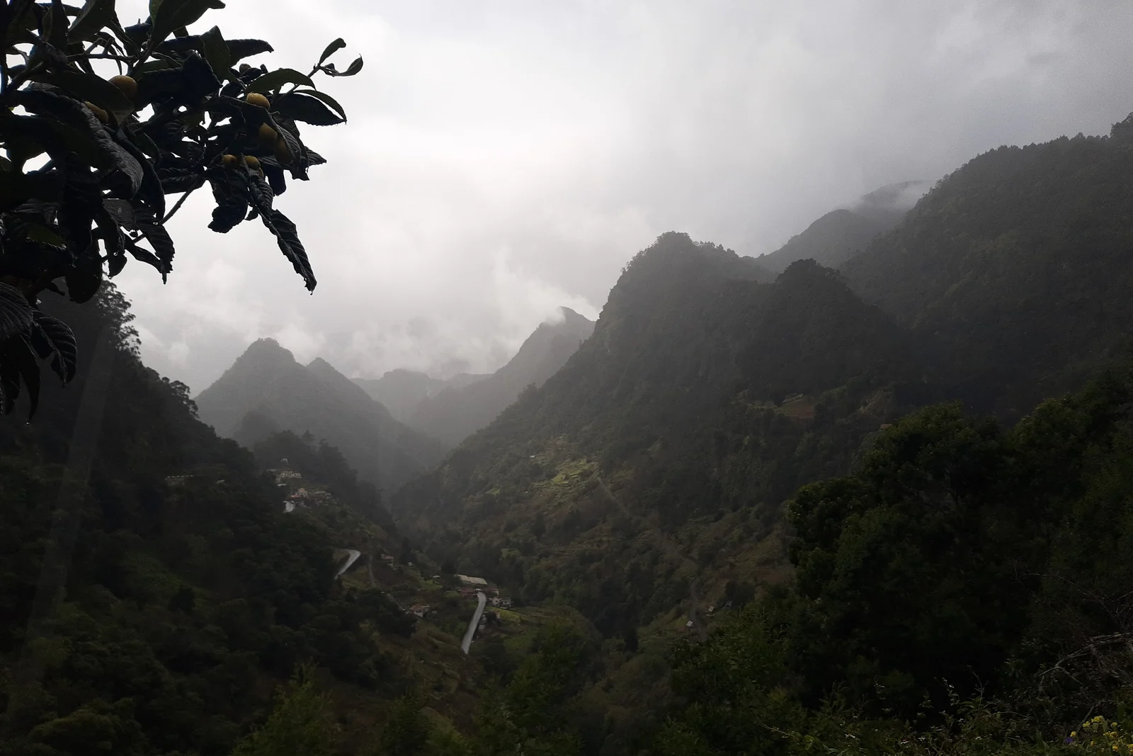 Bergstraße auf Madeira, im Tal darunter zieht Nebel auf