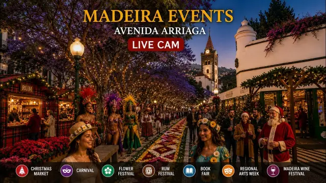 Avenida Arriaga, strana podia